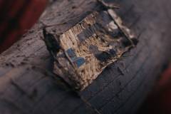 01-november-2025-X20-Badkamers-Trofee_-Koppenbergcross_-Oudenaarde-1-PM-59M-49S-C-Lars-Crommelinck-