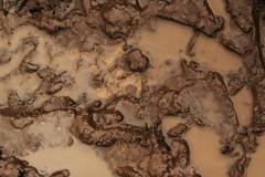 01-november-2025-X20-Badkamers-Trofee_-Koppenbergcross_-Oudenaarde-10-AM-32M-37S-C-Lars-Crommelinck-