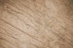 01-november-2025-X20-Badkamers-Trofee_-Koppenbergcross_-Oudenaarde-11-AM-54M-20S-C-Lars-Crommelinck-