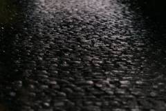 01-november-2025-X20-Badkamers-Trofee_-Koppenbergcross_-Oudenaarde-12-PM-22M-09S-C-Lars-Crommelinck-