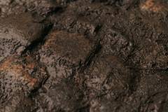 01-november-2025-X20-Badkamers-Trofee_-Koppenbergcross_-Oudenaarde-12-PM-24M-25S-C-Lars-Crommelinck-