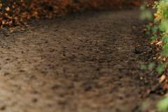 01-november-2025-X20-Badkamers-Trofee_-Koppenbergcross_-Oudenaarde-12-PM-25M-15S-C-Lars-Crommelinck-