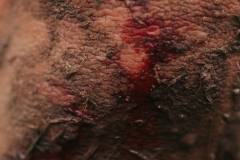 01-november-2025-X20-Badkamers-Trofee_-Koppenbergcross_-Oudenaarde-2-PM-01M-36S-C-Lars-Crommelinck-