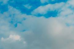 01-november-2025-X20-Badkamers-Trofee_-Koppenbergcross_-Oudenaarde-4-PM-14M-59S-C-Lars-Crommelinck-