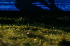 01-november-2025-X20-Badkamers-Trofee_-Koppenbergcross_-Oudenaarde-4-PM-16M-16S-C-Lars-Crommelinck-