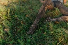 01-november-2025-X20-Badkamers-Trofee_-Koppenbergcross_-Oudenaarde-5-PM-00M-58S-C-Lars-Crommelinck-